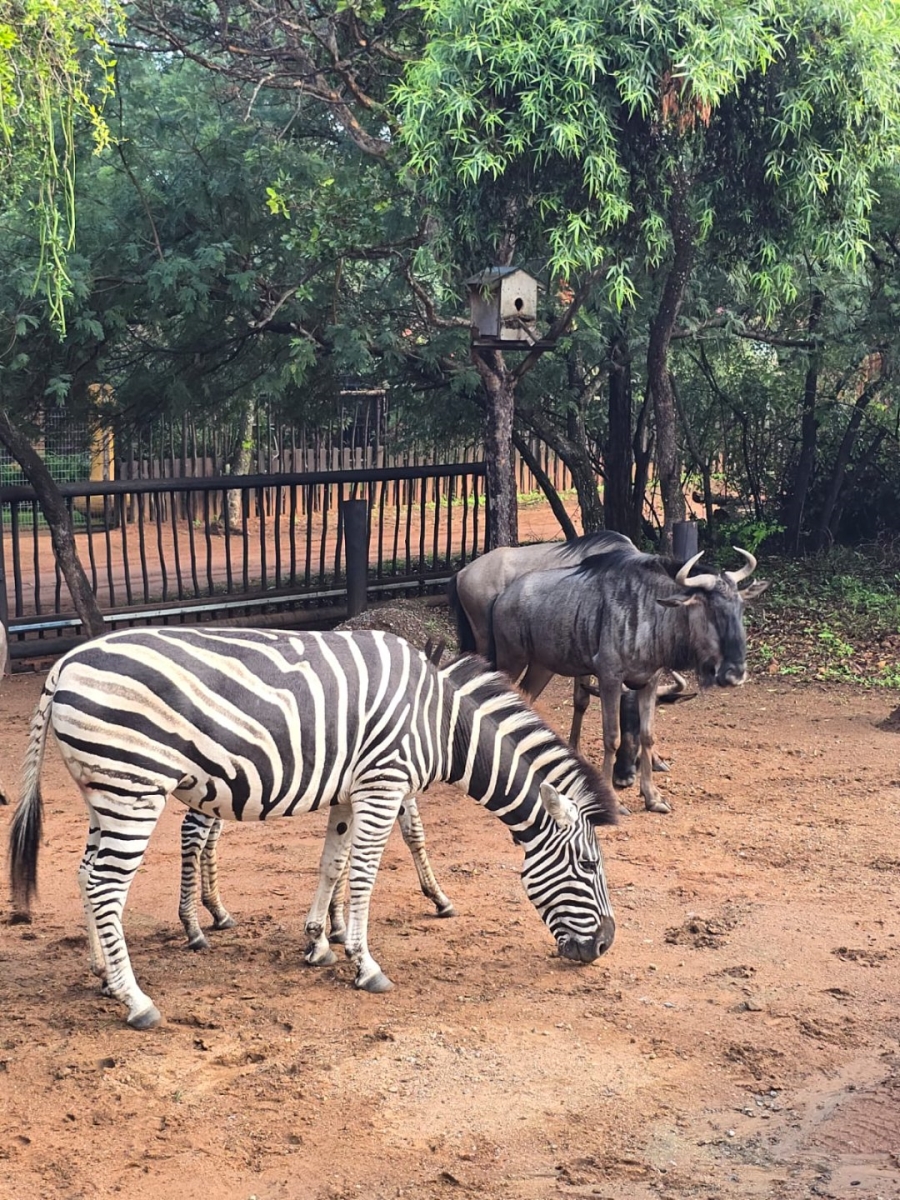 3 Bedroom Property for Sale in Leeupoort Limpopo