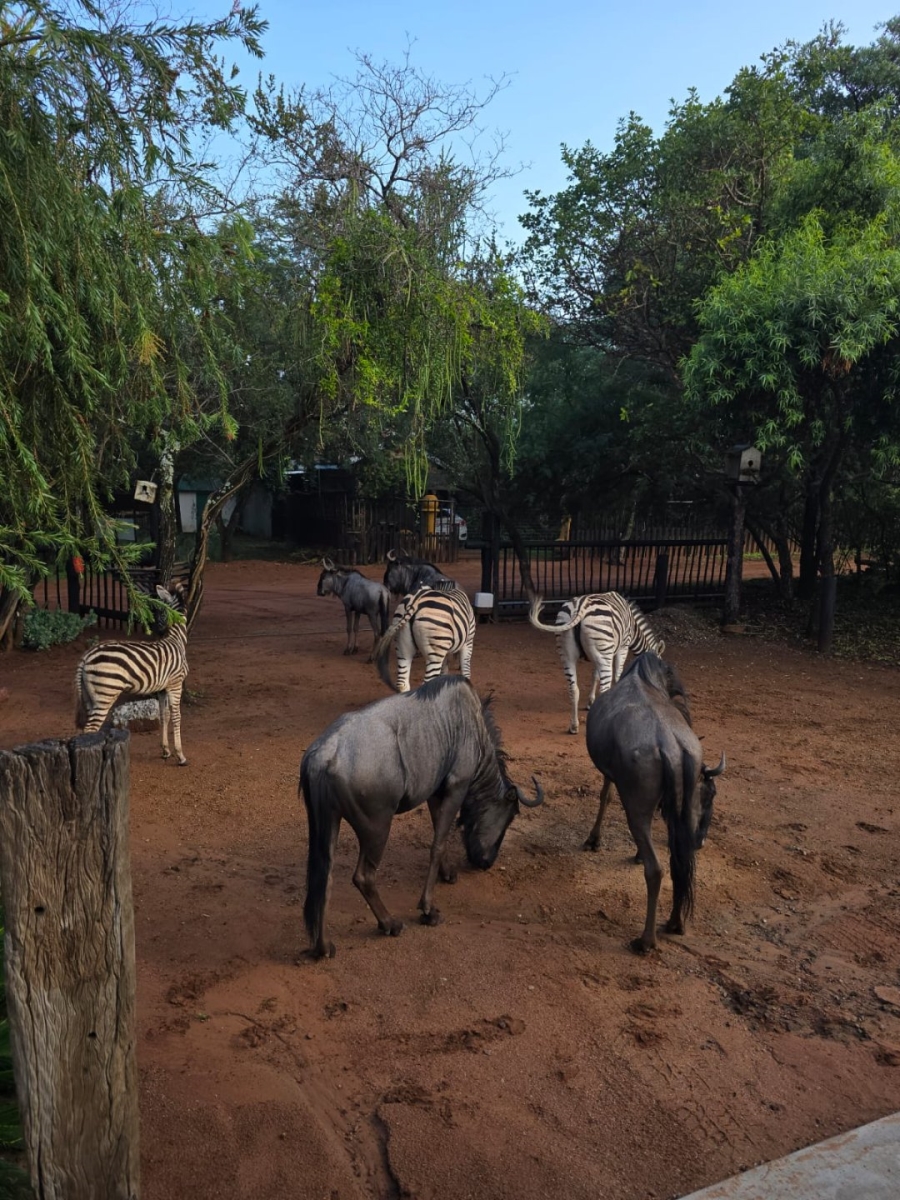 3 Bedroom Property for Sale in Leeupoort Limpopo