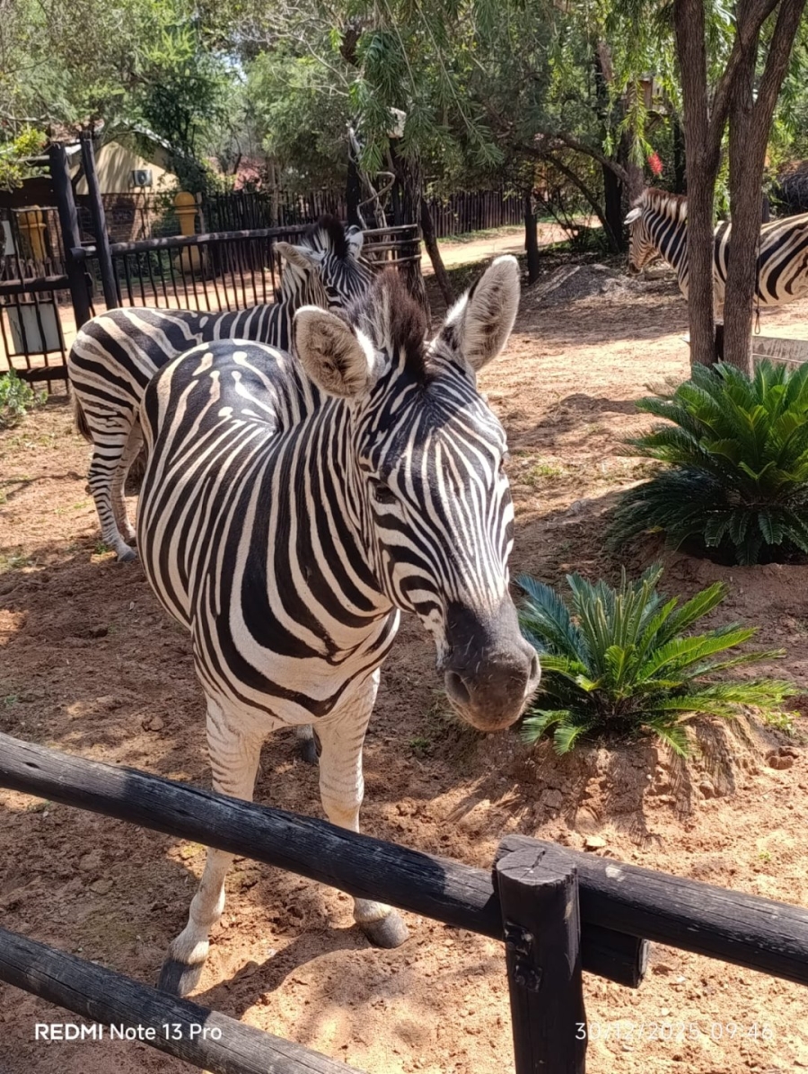 3 Bedroom Property for Sale in Leeupoort Limpopo