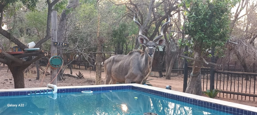 3 Bedroom Property for Sale in Leeupoort Limpopo