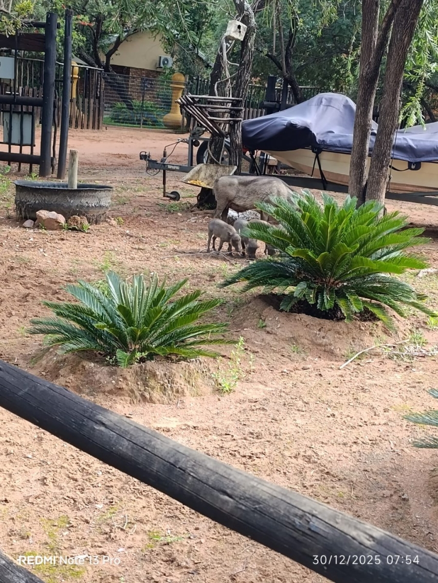 3 Bedroom Property for Sale in Leeupoort Limpopo