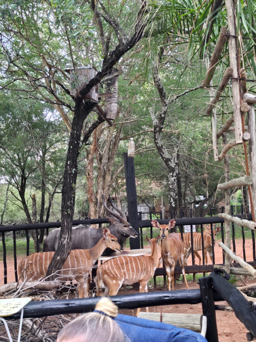 3 Bedroom Property for Sale in Leeupoort Limpopo