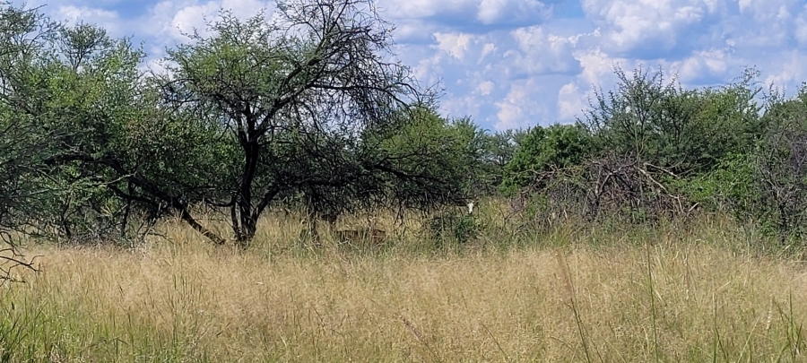 Commercial Property for Sale in Bela Bela Limpopo