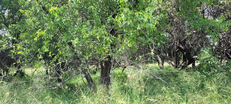 Commercial Property for Sale in Bela Bela Limpopo