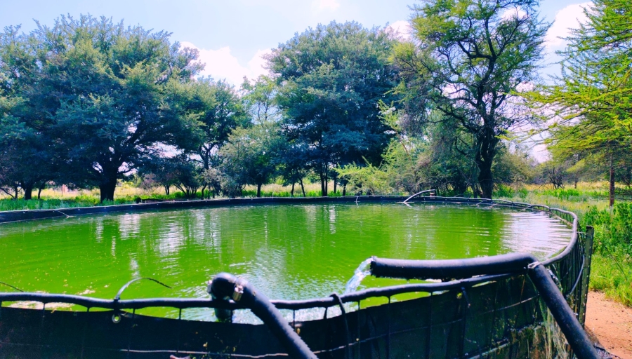 Commercial Property for Sale in Bela Bela Limpopo