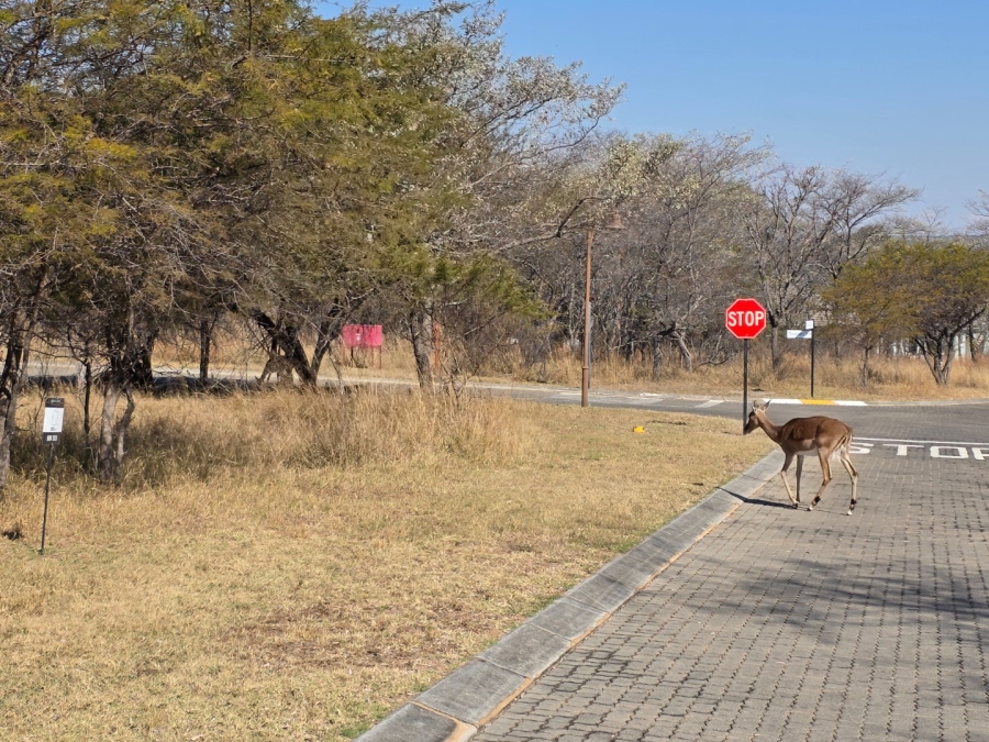 Commercial Property for Sale in Koro Creek Golf Estate Limpopo