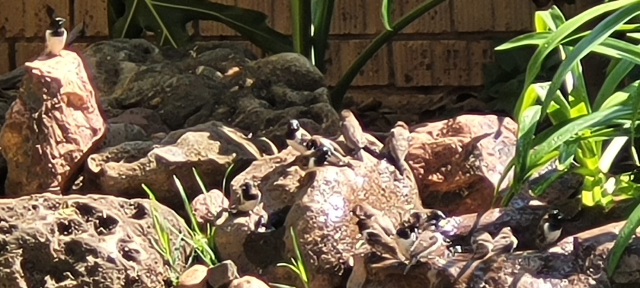 3 Bedroom Property for Sale in Bela Bela Limpopo