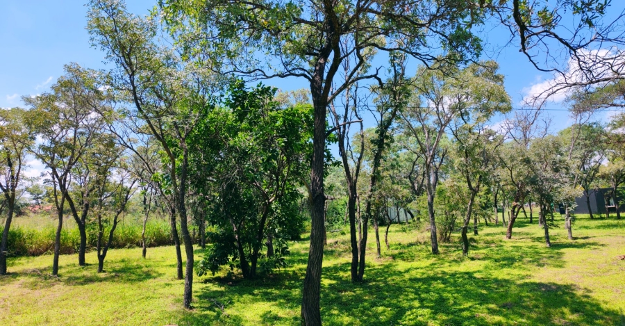 3 Bedroom Property for Sale in Vaalwater Limpopo