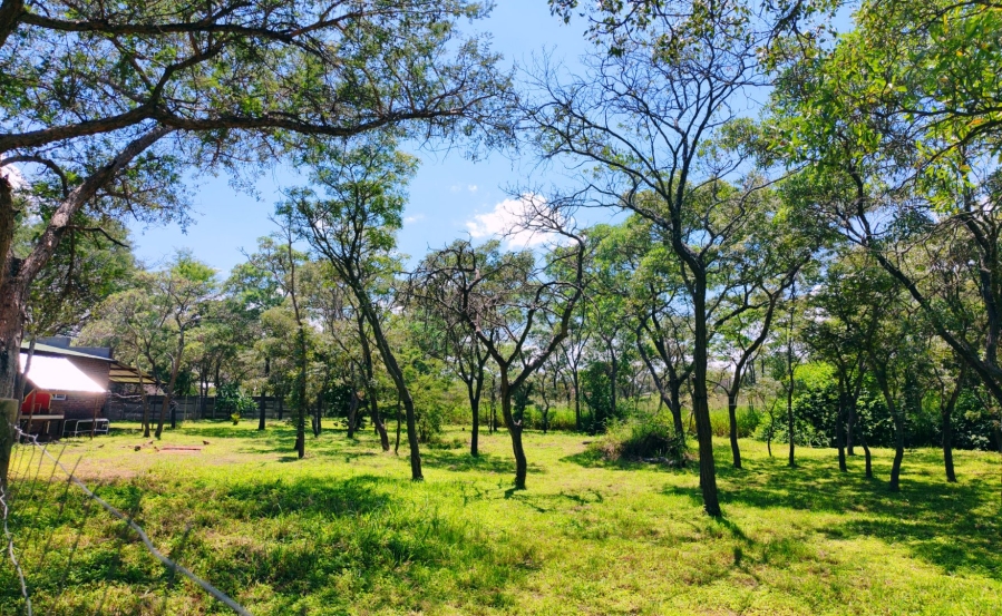 3 Bedroom Property for Sale in Vaalwater Limpopo