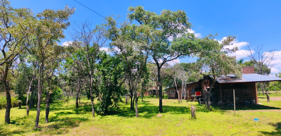 3 Bedroom Property for Sale in Vaalwater Limpopo