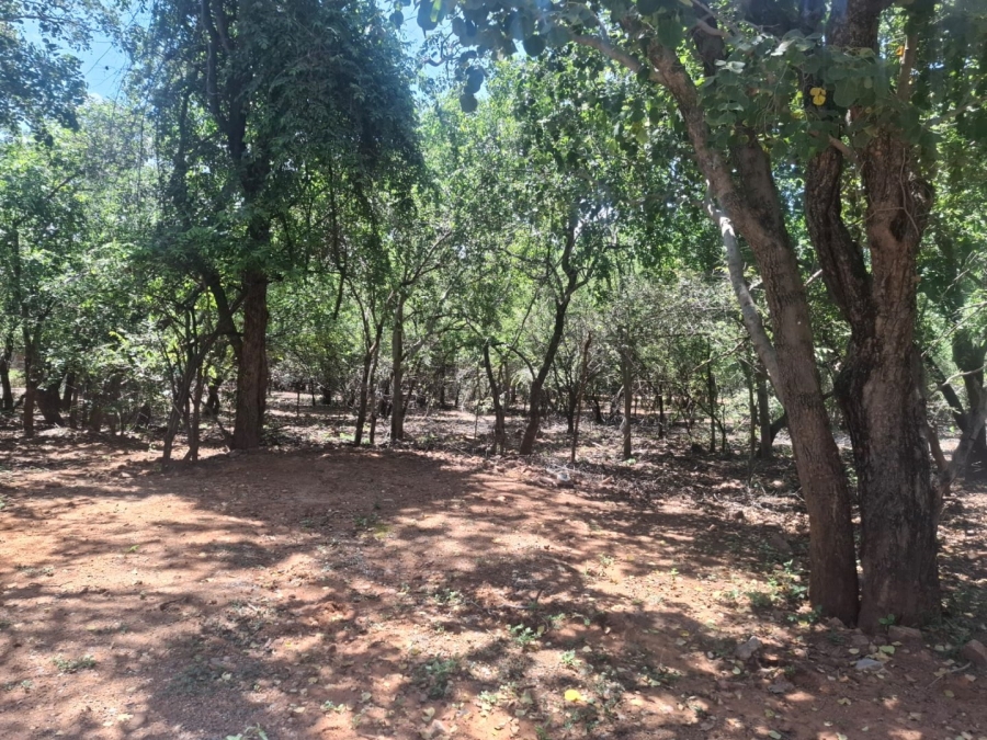 Commercial Property for Sale in Leeupoort Limpopo