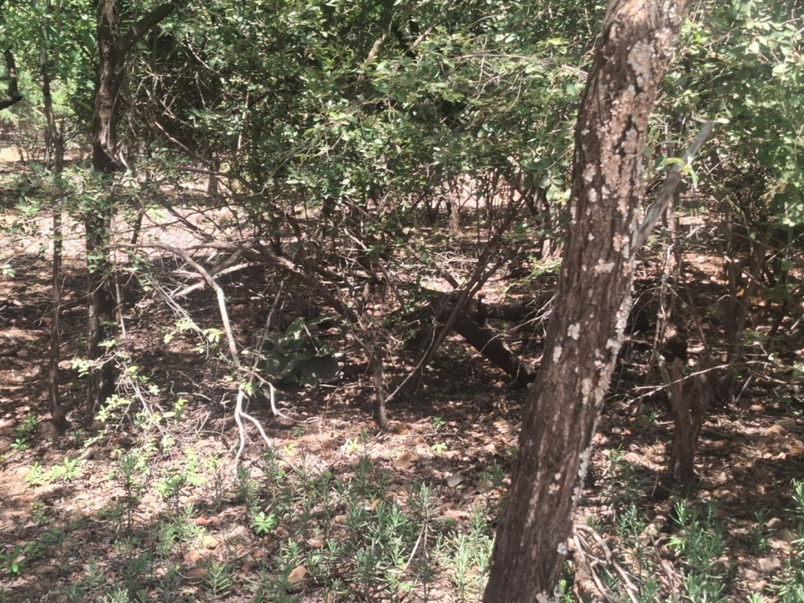 Commercial Property for Sale in Leeupoort Limpopo