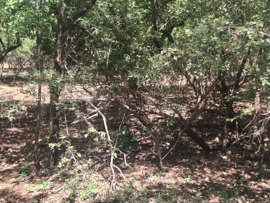 Commercial Property for Sale in Leeupoort Limpopo