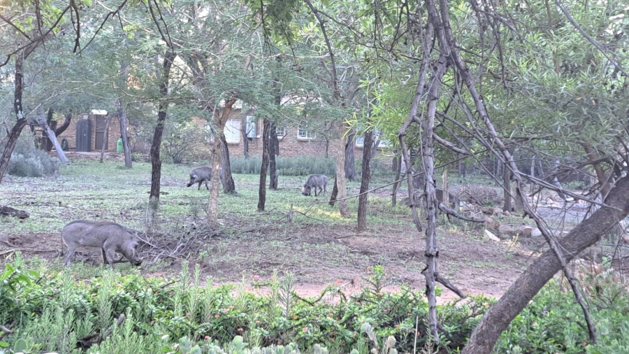 Commercial Property for Sale in Leeupoort Limpopo