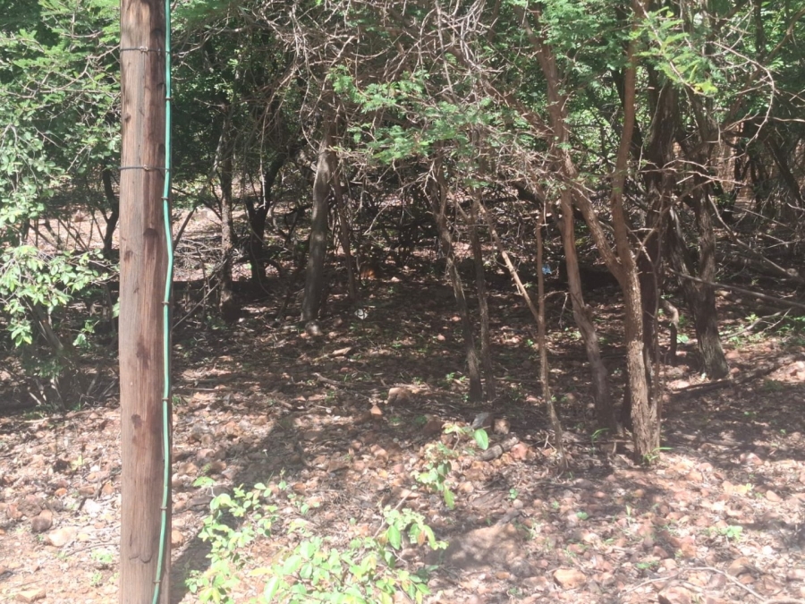 Commercial Property for Sale in Leeupoort Limpopo