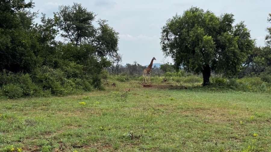 Commercial Property for Sale in Northam Rural Limpopo