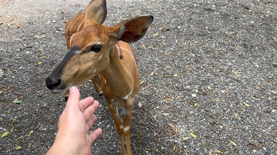 Commercial Property for Sale in Northam Rural Limpopo