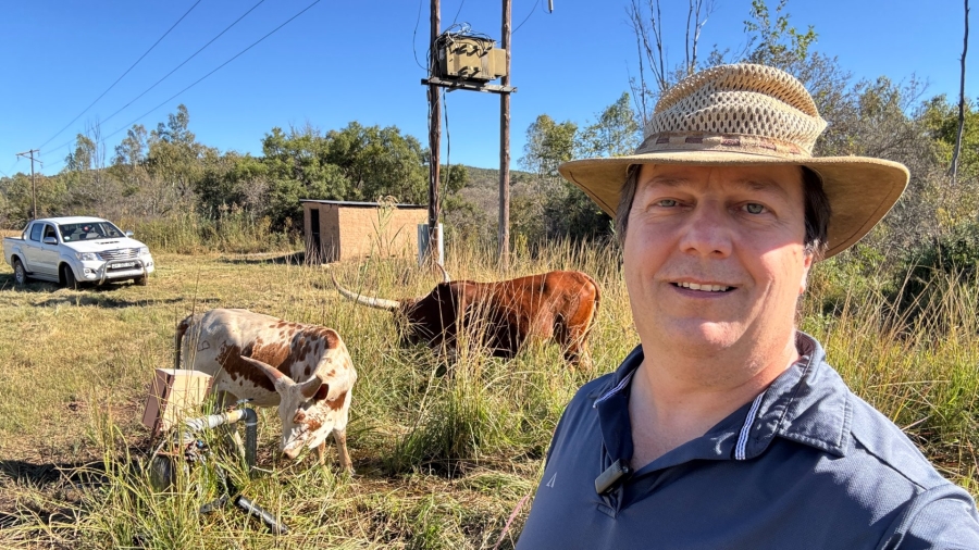 Commercial Property for Sale in Modimolle Rural Limpopo