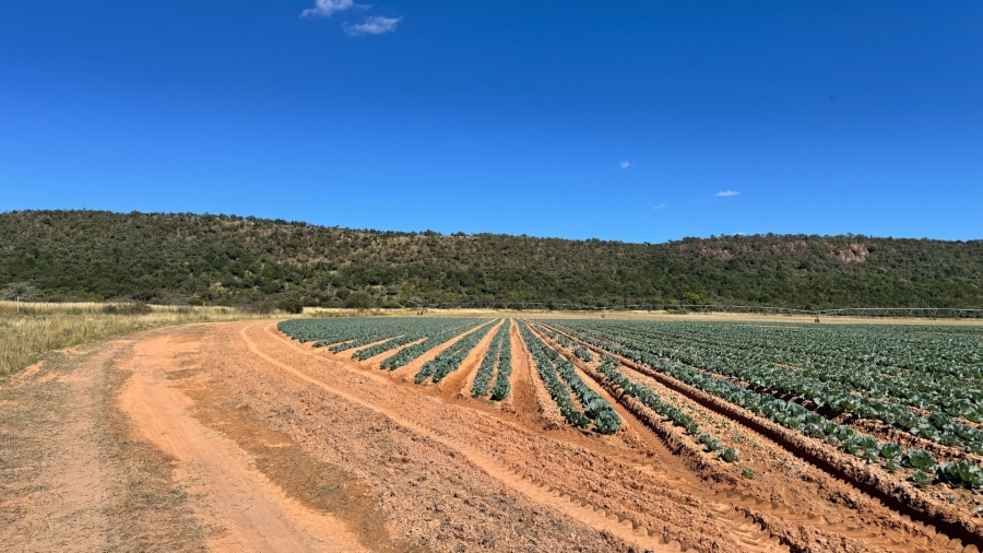 Commercial Property for Sale in Modimolle Rural Limpopo