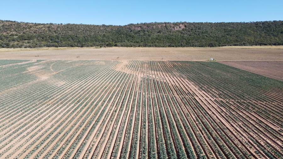 Commercial Property for Sale in Modimolle Rural Limpopo