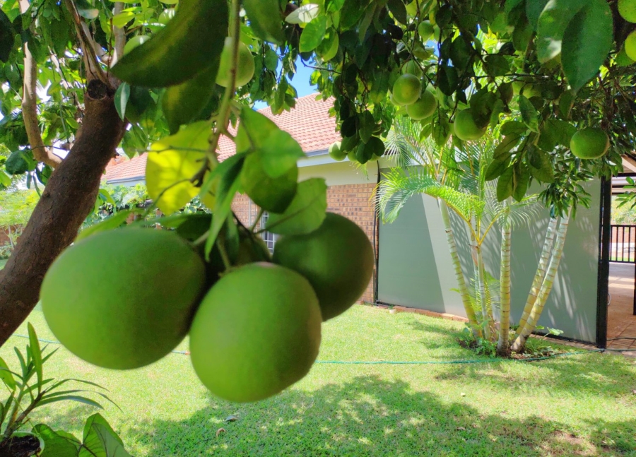 3 Bedroom Property for Sale in Mookgopong Limpopo