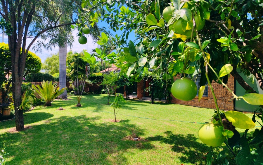 3 Bedroom Property for Sale in Mookgopong Limpopo