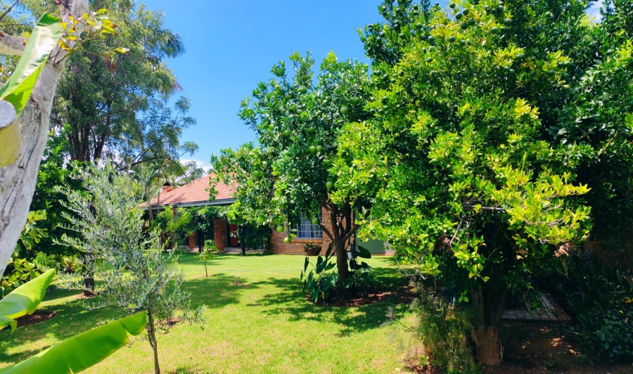 3 Bedroom Property for Sale in Mookgopong Limpopo
