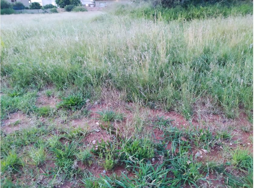 Commercial Property for Sale in Serala View Limpopo