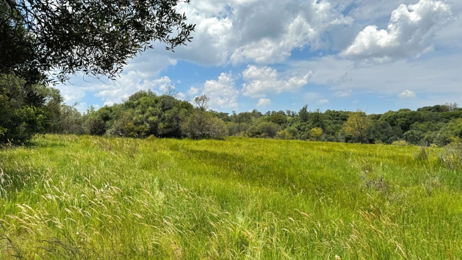 Commercial Property for Sale in Modimolle Rural Limpopo