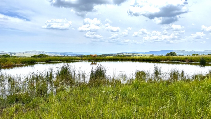 Commercial Property for Sale in Modimolle Rural Limpopo