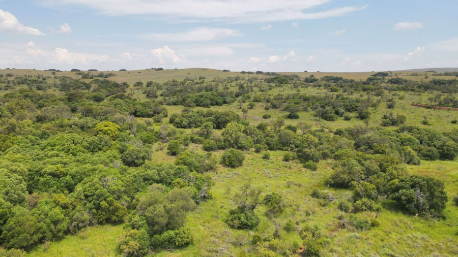 Commercial Property for Sale in Modimolle Rural Limpopo