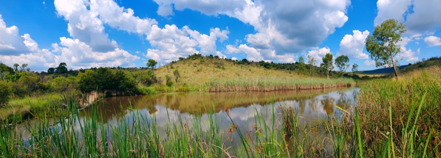 Commercial Property for Sale in Modimolle Limpopo