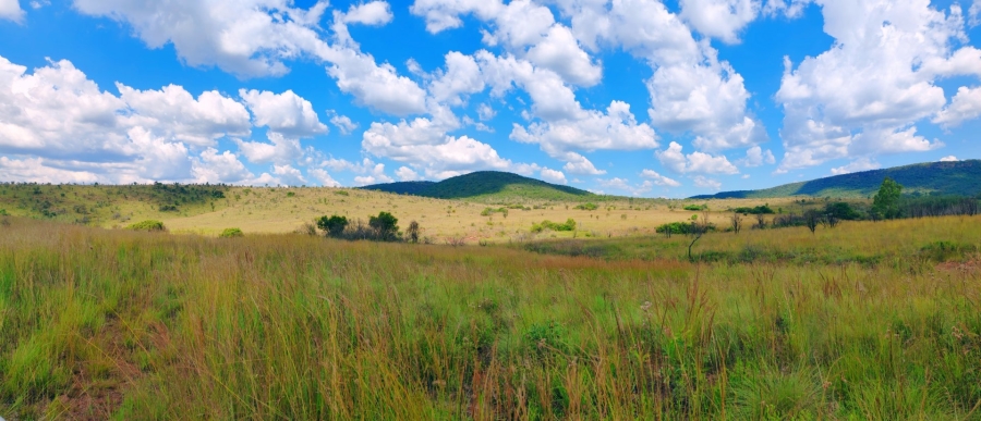 Commercial Property for Sale in Modimolle Limpopo