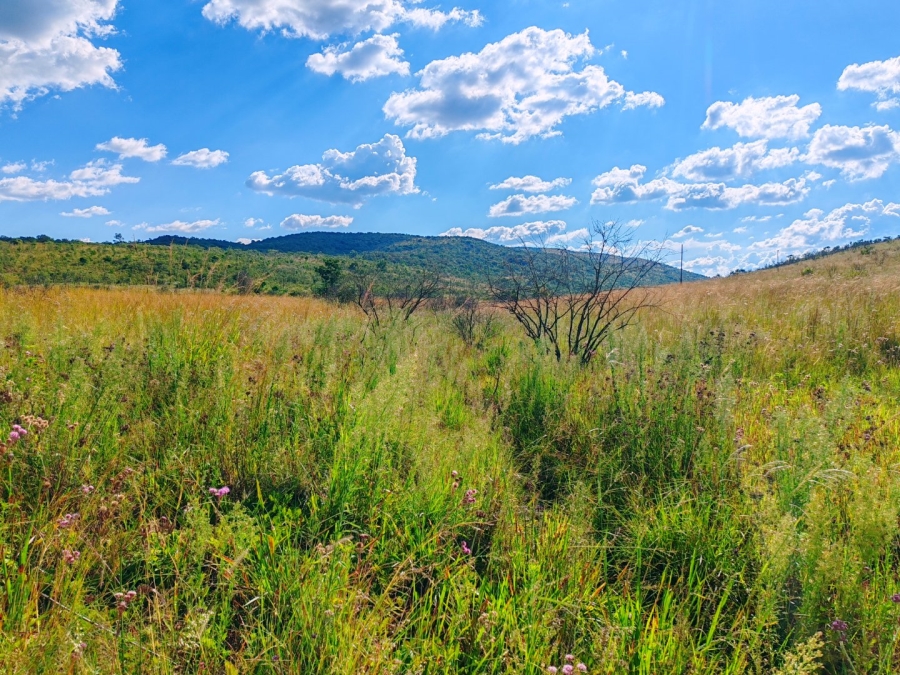 Commercial Property for Sale in Modimolle Limpopo