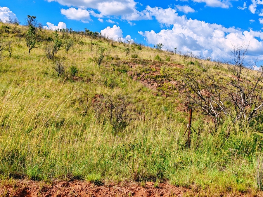 Commercial Property for Sale in Modimolle Limpopo