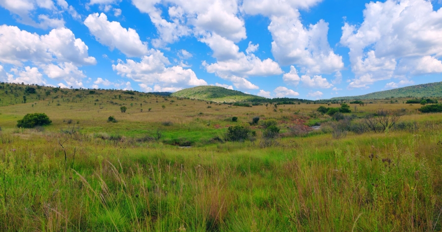 Commercial Property for Sale in Modimolle Limpopo