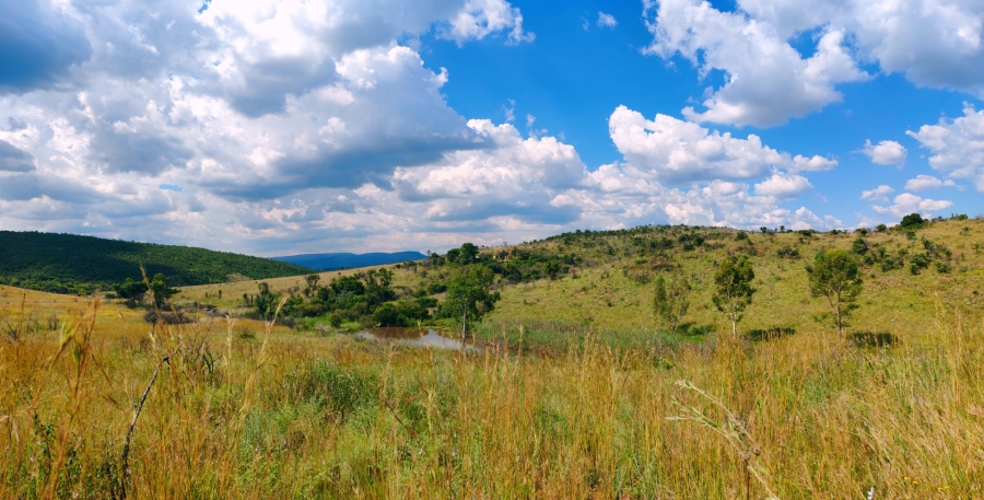 Commercial Property for Sale in Modimolle Limpopo