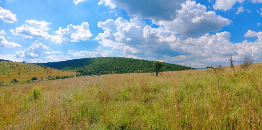 Commercial Property for Sale in Modimolle Limpopo