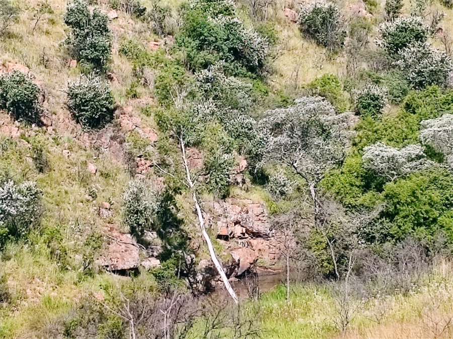 Commercial Property for Sale in Modimolle Limpopo