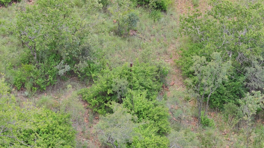 Commercial Property for Sale in Modimolle Limpopo