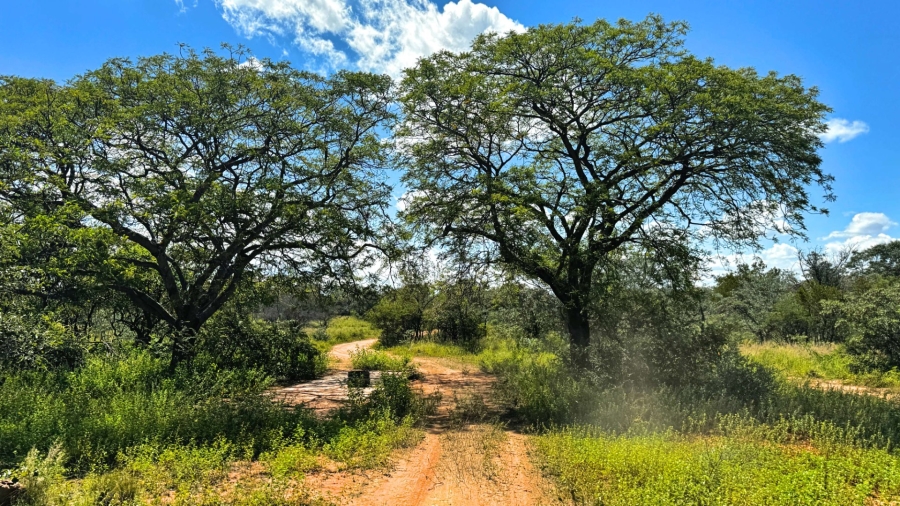 Commercial Property for Sale in Lephalale Limpopo