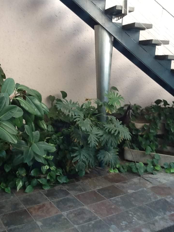  Bedroom Property for Sale in Welgelegen Limpopo