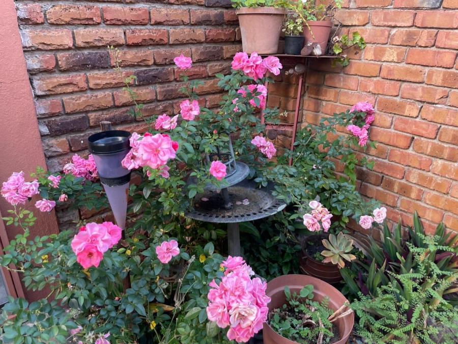 3 Bedroom Property for Sale in Annadale Limpopo