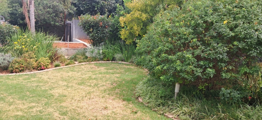 To Let 4 Bedroom Property for Rent in Bendor Limpopo