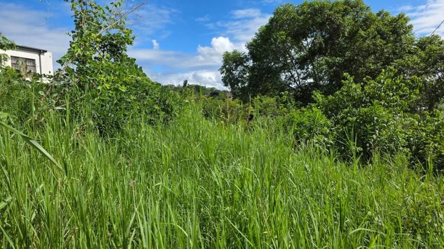 Commercial Property for Sale in Matumi Park Limpopo