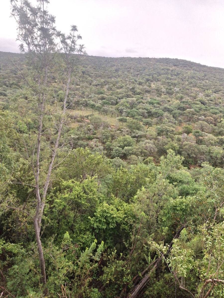 5 Bedroom Property for Sale in Rooiberg Limpopo