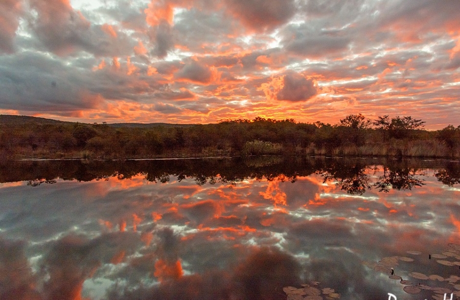 5 Bedroom Property for Sale in Rooiberg Limpopo