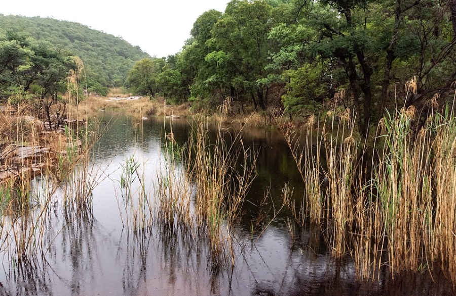 5 Bedroom Property for Sale in Rooiberg Limpopo