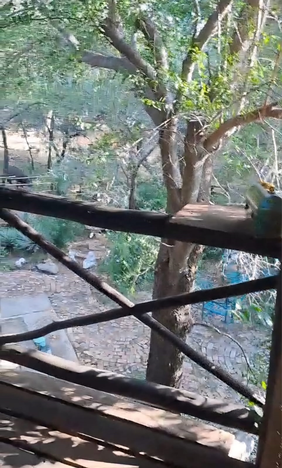 5 Bedroom Property for Sale in Leeupoort Limpopo