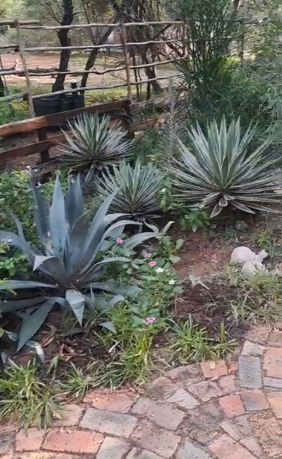 5 Bedroom Property for Sale in Leeupoort Limpopo